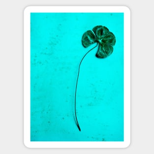 Four Leaf Clover #2 Sticker